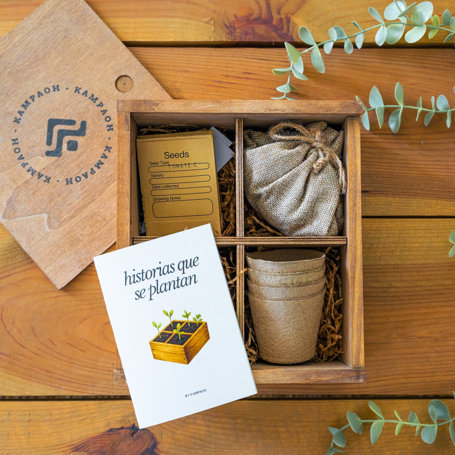 Caja Regalo - Historias Que Se Plantan 🌱