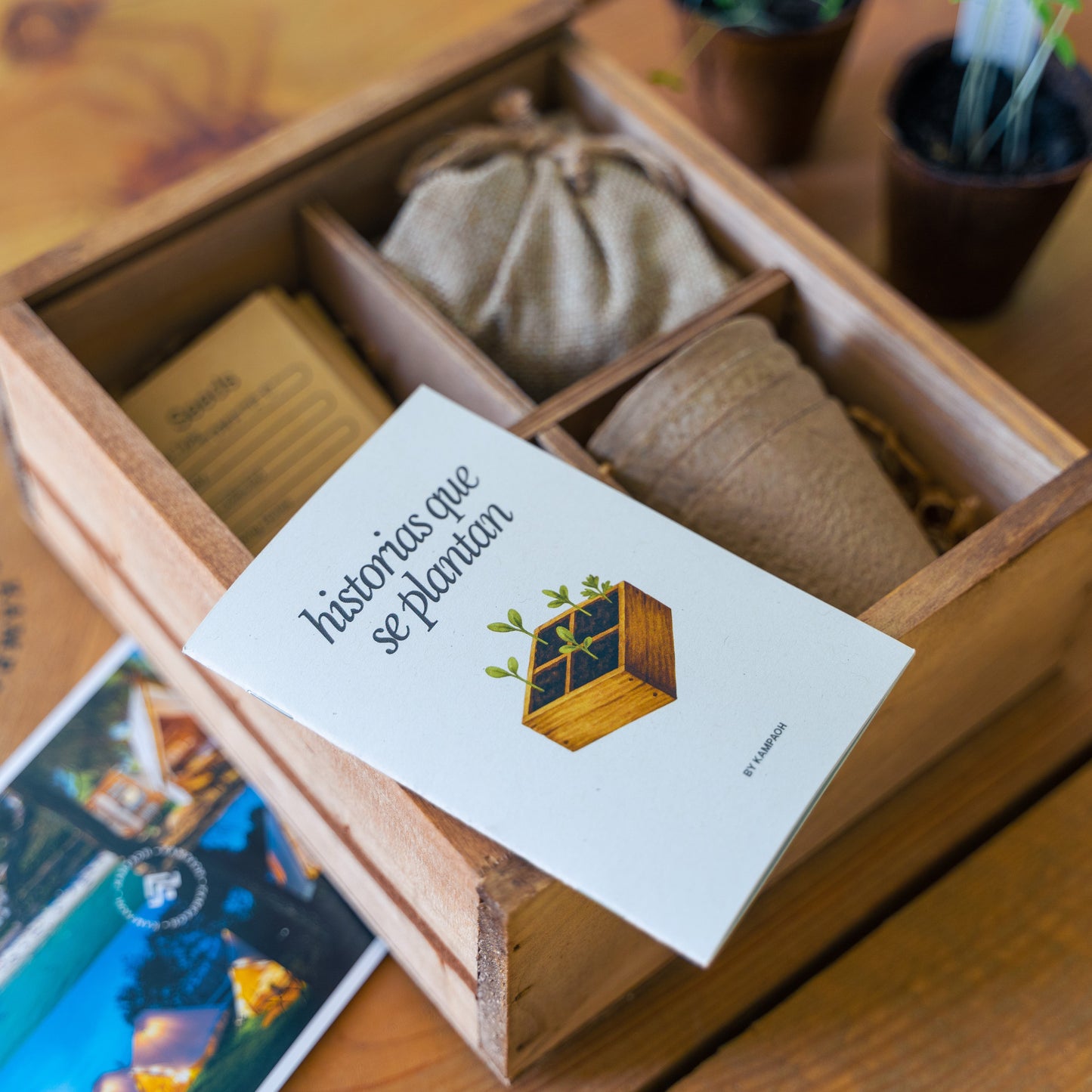 Caja Regalo - Historias Que Se Plantan 🌱