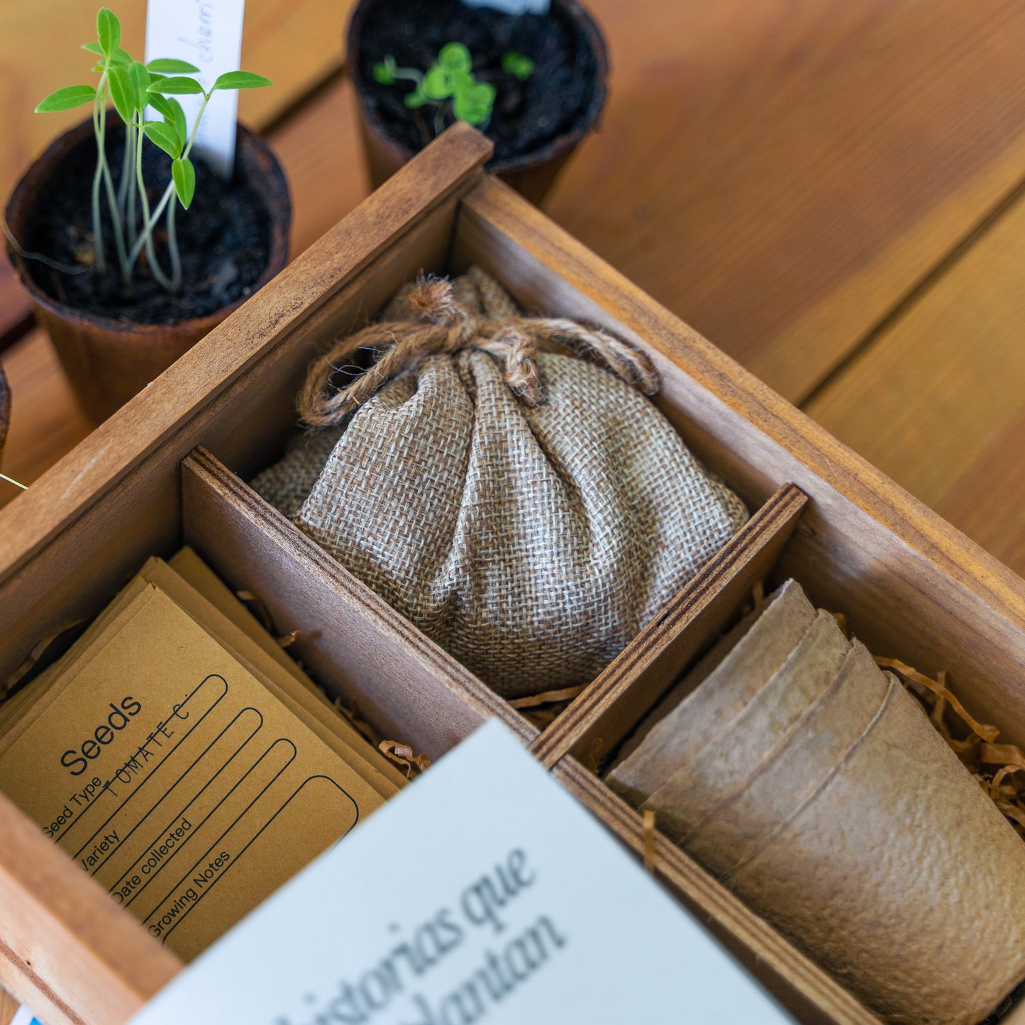 Caja Regalo - Historias Que Se Plantan 🌱