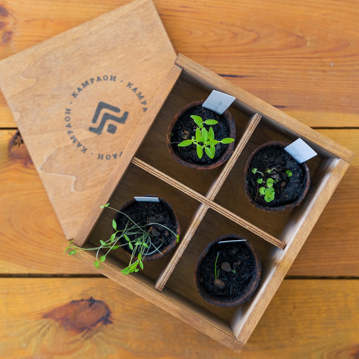 Caja Regalo - Historias Que Se Plantan 🌱